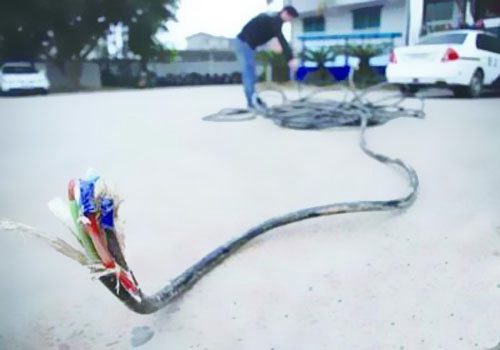 線纜行業(yè)“潛規(guī)則”：‘非標’電線電纜，實質(zhì)上就是假冒偽劣產(chǎn)品！ 